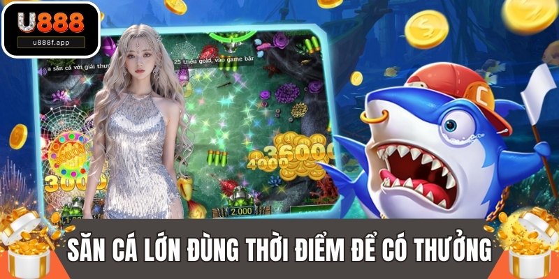 Săn cá lớn đùng thời điểm để kiếm về thưởng lớn