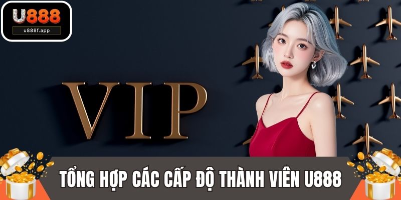 Tổng hợp các cấp độ thành viên U888